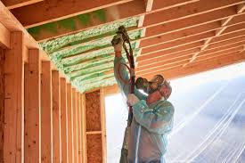 Best Blown-In Insulation  in Dumas, AR