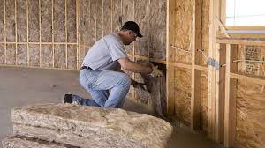 Best Spray Foam Insulation  in Dumas, AR